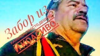 Забор из камыша,красиво, просто и дешево.
