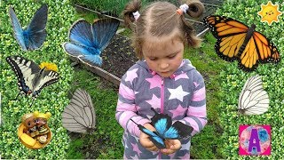Как Алиса на даче бабочек ловила! Видео для детей!
