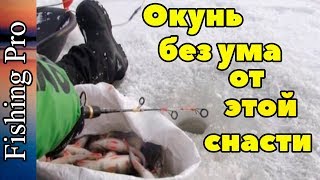 Зимняя рыбалка. Уроки ловли окуня на снасть топорик от профи