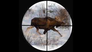 Выбираем прицел "ЗАГОННИК"