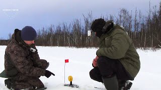 ОТКУДА ЗДЕСЬ ЩУКА? / ПОСТАВИЛИ ЖЕРЛИЦЫ В БОЛОТО / ЧЕРНЫЕ ЩУКИ ОЗЕРА / РЫБАЛКА В ДЕРЕВНЕ