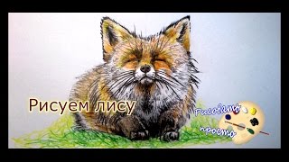 Как нарисовать лису(подробное видео)