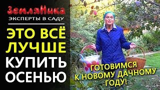 Главные покупки для дачи. Что лучше купить в сентябре. Саженцы, луковичные, садовый инвентарь. 0+