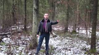 Сигнальный пистолет МР 371 (стрельба холостыми патронами). Купить popadiv10.ru