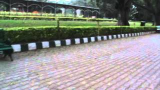 Beautiful Footpath And Garden Area
