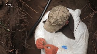 Будь-який земляний горб може бути могилою людини – «Чорний тюльпан»