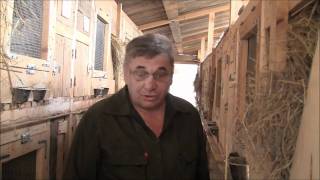 Кроликоферма Барановых. г. Екатеринбург