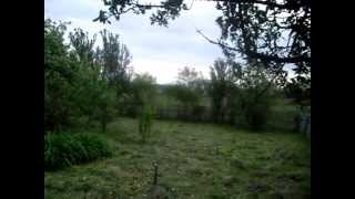 Хальзево Дмитровск-Орловский