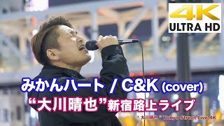 【4K】"大川晴也"  みかんハート / C&K (cover)

 4K動画
