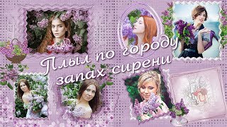 Плыл по городу запах сирени| Sailed around the city smell of lilac | Project for ProShow Producer