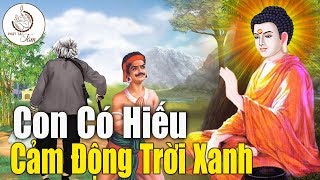 Kể Truyện Đêm Khuya, Vì Cứu Mẹ Mà Chàng Trai Chặt Tay Cúng Phật Và Cái Kết ...Cảm Động Rơi Nước Mắt