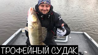 Трофейный Судак. Осень 2019. Личный Рекорд по Судаку