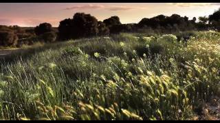 The Living Sculptures - Canon EOS 550D (HD)