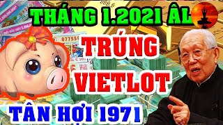 Tháng 1.2021 Âm Lịch Tuổi TÂN HỢI 1971 Vận Số Đã Đến, Trúng Lớn Liên Tiếp, Ôm Tiền Tỷ Về Khao Làng