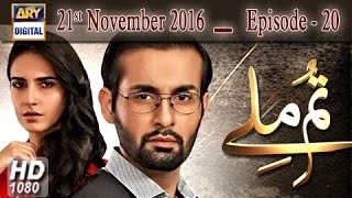 Tum Milay Ep 20 - 21st November 2016 - ARY Digital Drama