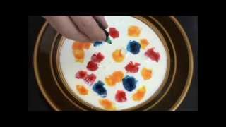 milk food dye and dish washing liquid experiment