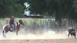 HEEL HORSE FOR SALE