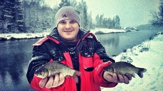 С Рыбалкой на Ты! выпуск №13. Фидер поздней осенью. Ловля карася в ноябре 2016 г.