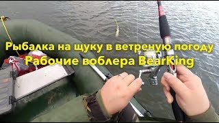 Рыбалка на щуку. Воблера BearKing. Щука в ветреную погоду