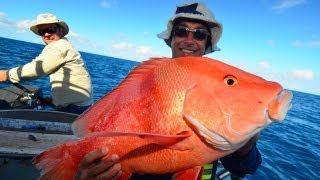 More Big Fish Kaos!! Deep sea fishing Video!! Great Barrier Reef!! Part 2!!