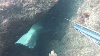 Горбылиные дома. Подводная охота в море осенью.
