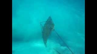hibrid trawl