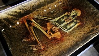 В ХНУ имени В.Н. Каразина прошло открытие археологического музея
