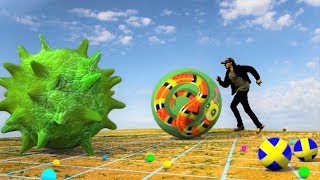 Agar.io in Real Life