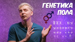 Пол и гендер: ГЕНЕТИКА ПОЛА