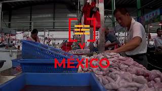 Circulan VIDEOS del mercado de Wuhan, donde inició el Coronavirus - Alonso Jaime Gastélum Salazar