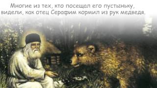 Православные святые и животные. Серафим Саровский
