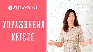 Интимные мышцы. Упражнения Кегеля