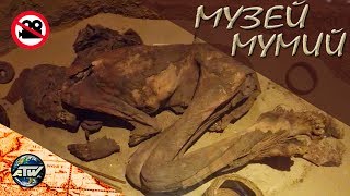 Музей мумификации | Запрещенная видеосъемка в музее | Луксор | Египет