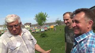 Путешествие за ПЧЕЛОПАКЕТАМИ в Пичаево
