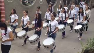 Emiliano Zapata Michoacan Guaracha Fiesta Santa Rosa de Lima 2016 PROCESION PROFESIONISTAS 2