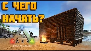 С ЧЕГО НАЧАТЬ? [ГАЙД] ➱ Ark: Survival Evolved #1