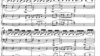 Schumann piano concerto in A minor op. 54 Allegro affettuoso [1\3]