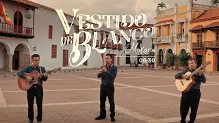 Mokara - Vestido de Blanco - 4K