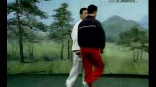 Sun De (孙德) - Taiji tanglangquan (太极螳螂拳) application 2