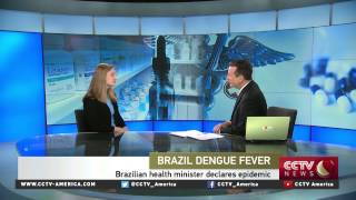 Kathryn Jacobsen of George Mason U. discusses Brazil's dengue fever outbreak