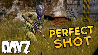 Perfectly Timed Shot - DayZ Standalone