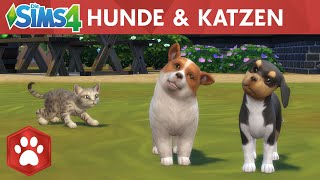 Die Sims 4 Hunde & Katzen: Offizieller Launch-Trailer