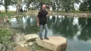 Aquascape Advanced Build - Pondemonium