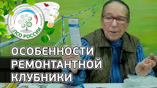 Клубника, земляника из семян. Ремонтантные и нейтральнодневные сорта клубники, земляники.