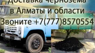 Глина почва