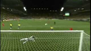 ブラジル vs ベルギー 【2002 FIFA ワールドカップ】 1回戦 ⑥