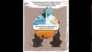 Мы взяли собаку из приюта. Личный опыт