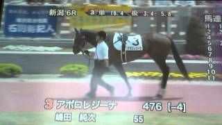 2014/5/4新潟6R サラ系4歳以上 1200m ダート・左  若手騎手 4歳以上500万円以下
