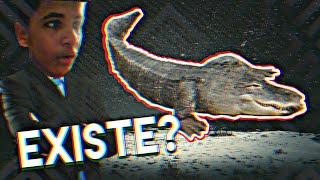 VOCÊ JÁ VIU O JARÉ? SERÁ QUE ELE EXISTE MESMO? | Curiosidades #1