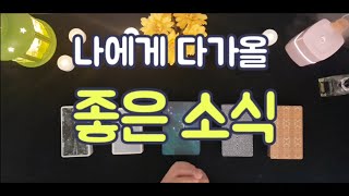[타로 / 연애 / 심리] 나에게 다가올 좋은 소식
